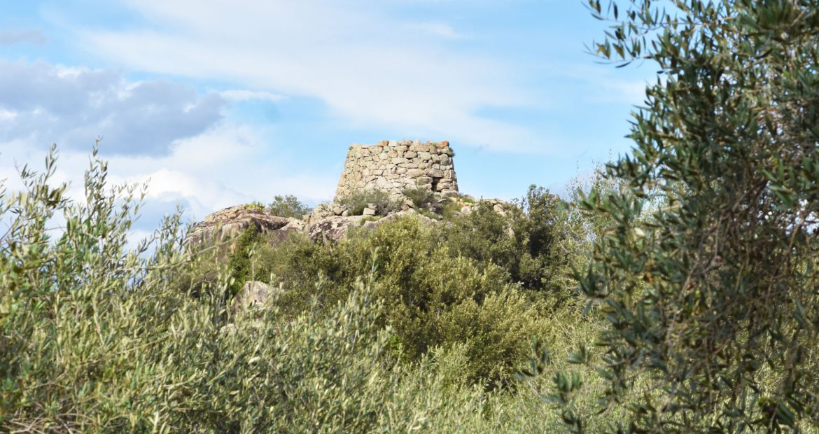 olio-in-cattedra-2021