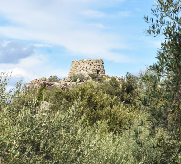 olio-in-cattedra-2021